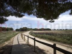 Obra Nueva - Bungalow - Torrevieja - Torrejón