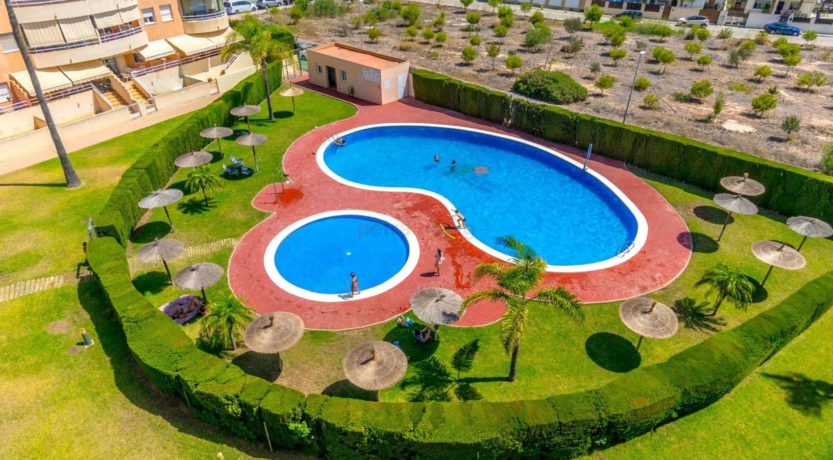 A Vendre - Appartement - Orihuela Costa - Campoamor