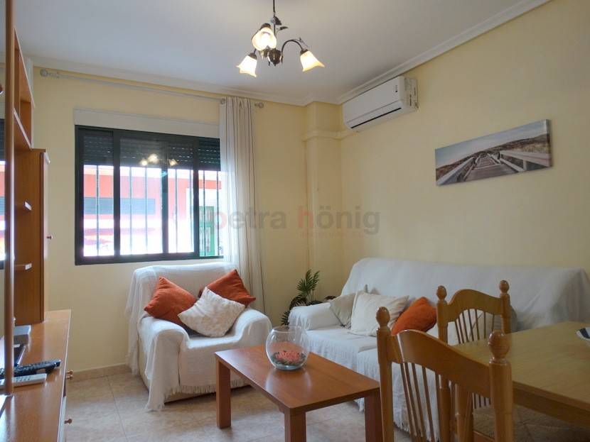 Gebrauchtobjekte - Apartment - Torrevieja