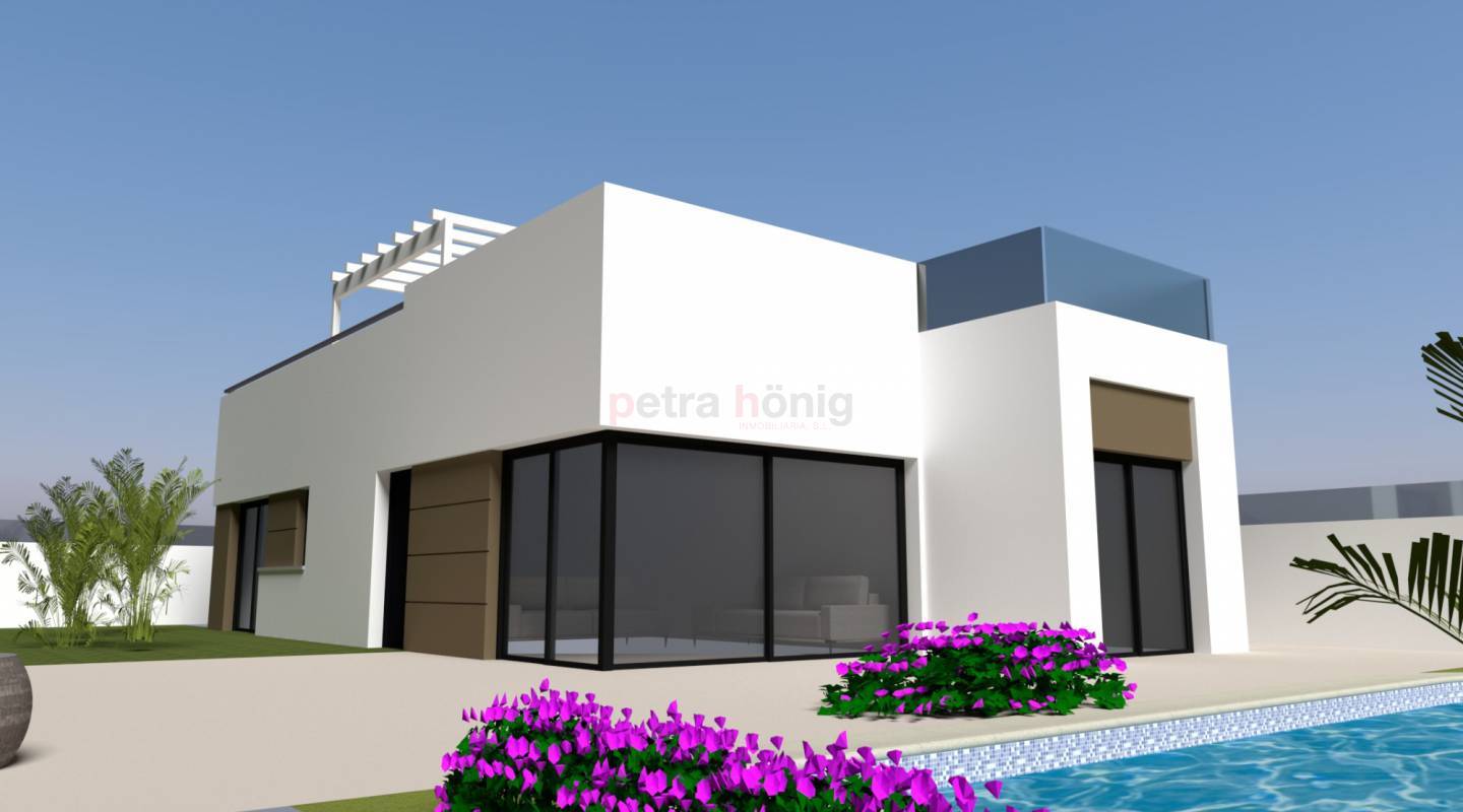 New build - Villa - PInar de Campoverde