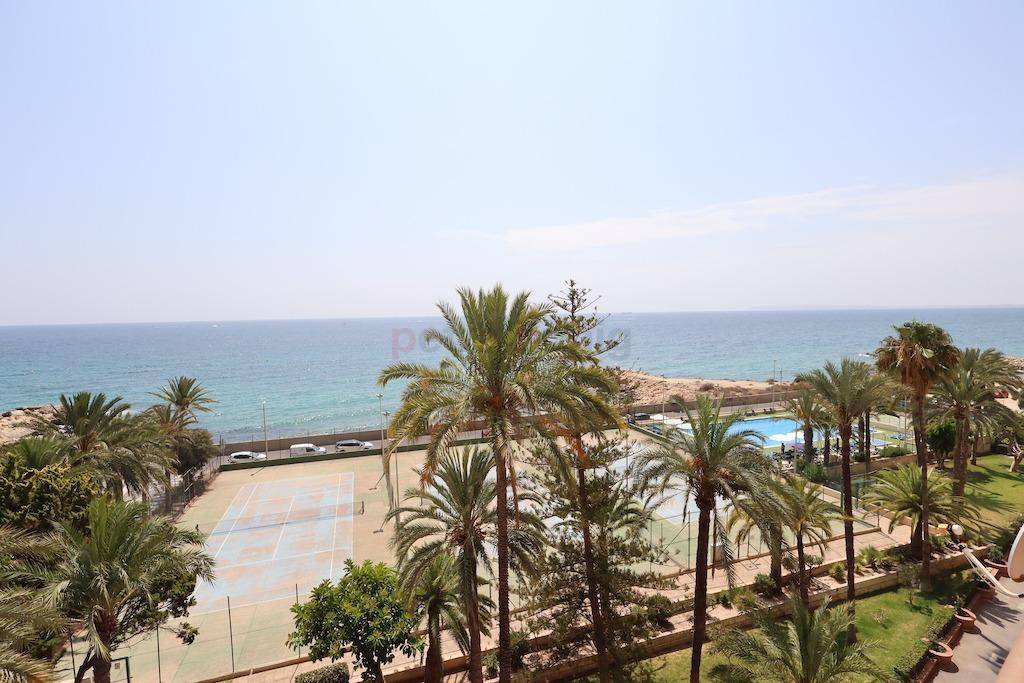 Gebrauchtobjekte - Apartment - Alicante - Barrio Obrero