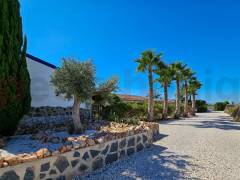 A Vendre - Finca - Crevillente