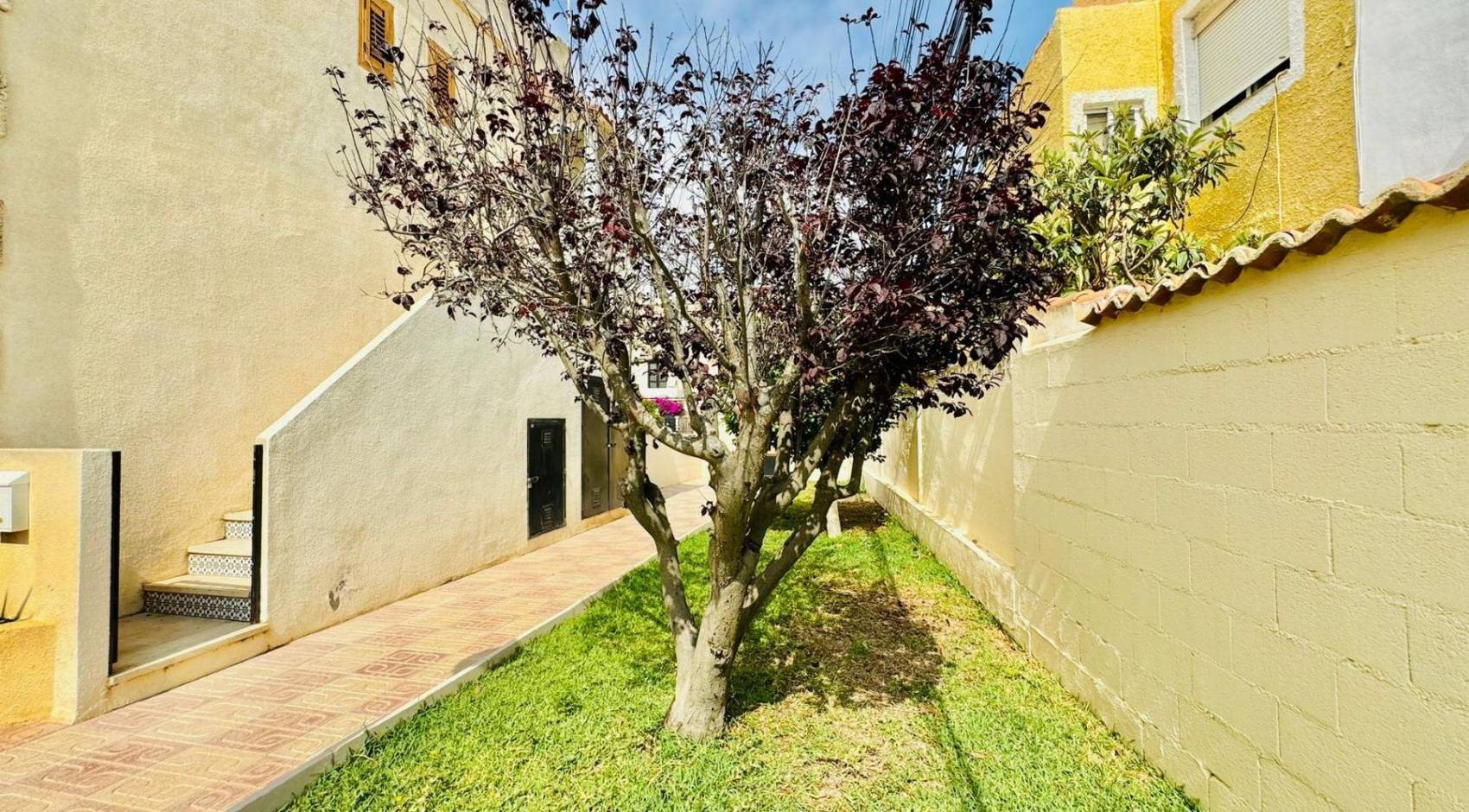 A Vendre - Bungalow - Torrevieja - El Chaparral