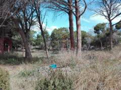 Gebrauchtobjekte - Bungalow - La Mata