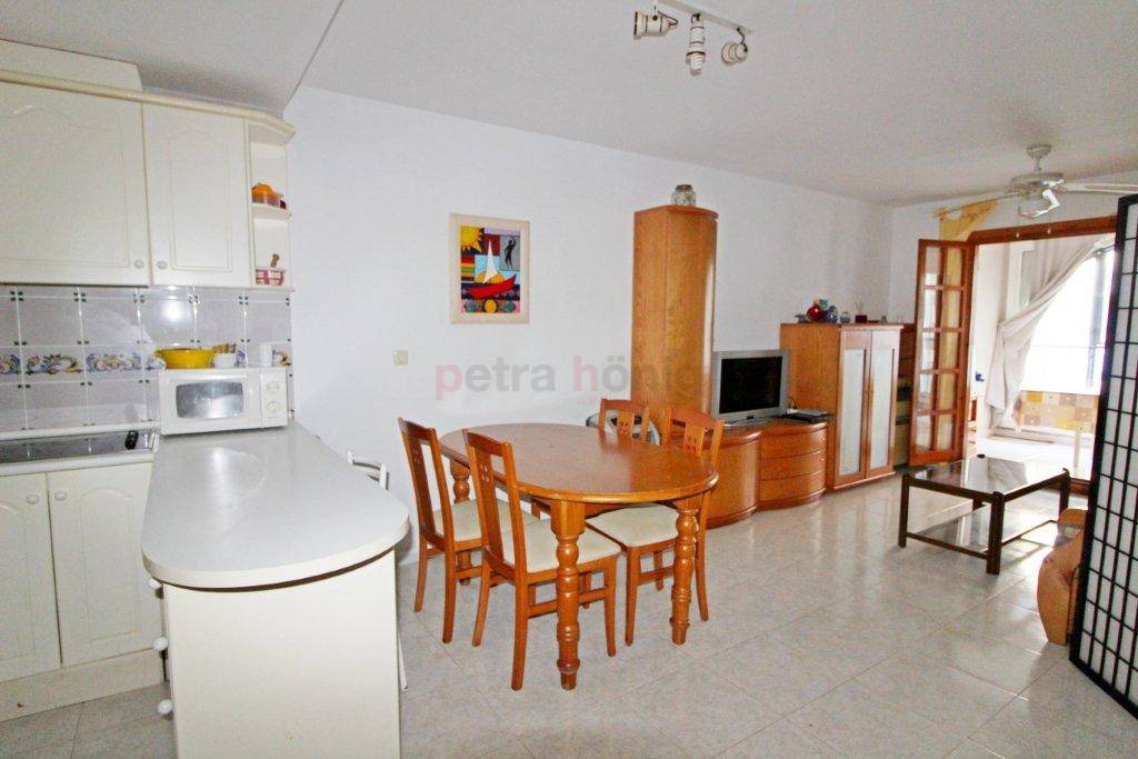 Gebrauchtobjekte - Apartment - La Mata