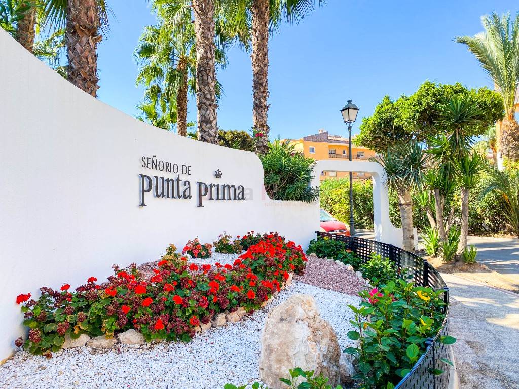 Reventa - Apartamento - Punta Prima - Panorama Park