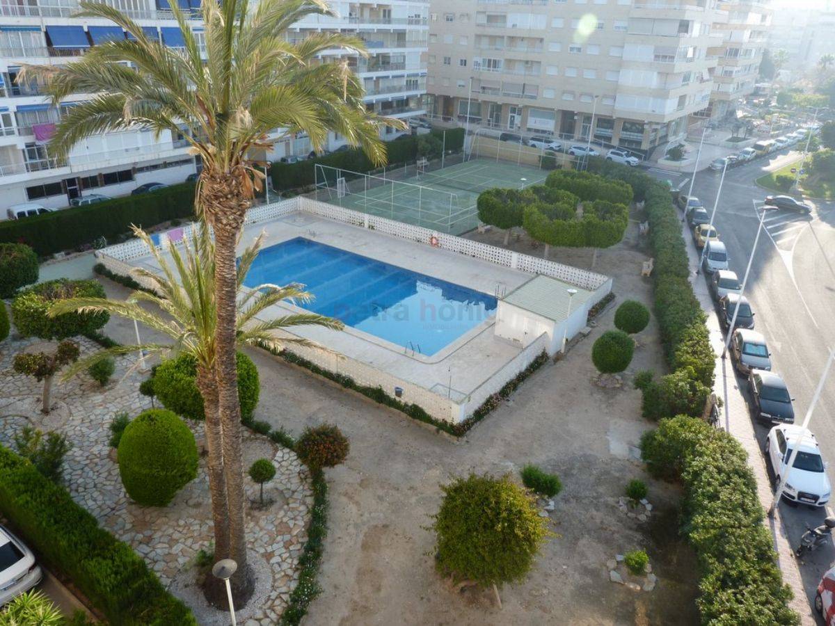 Resales - Apartment - Torrevieja - Playa de La Acequion