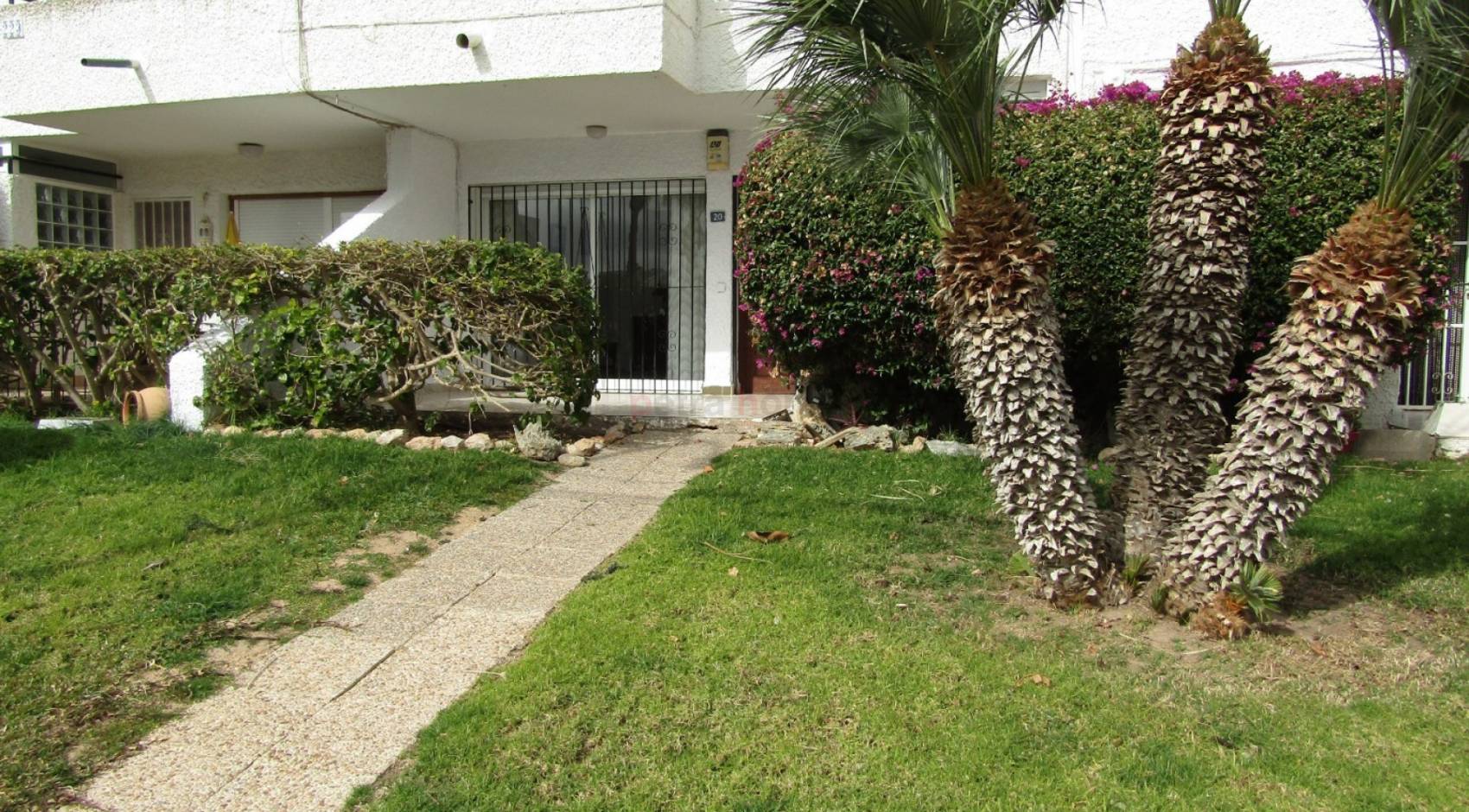 Reventa - Apartamento - Orihuela Costa - Los Dolses