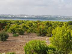 Resales - Appartement - Torrevieja