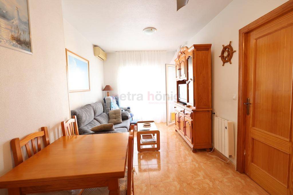 Resales - Apartment - Torrevieja - Acequion