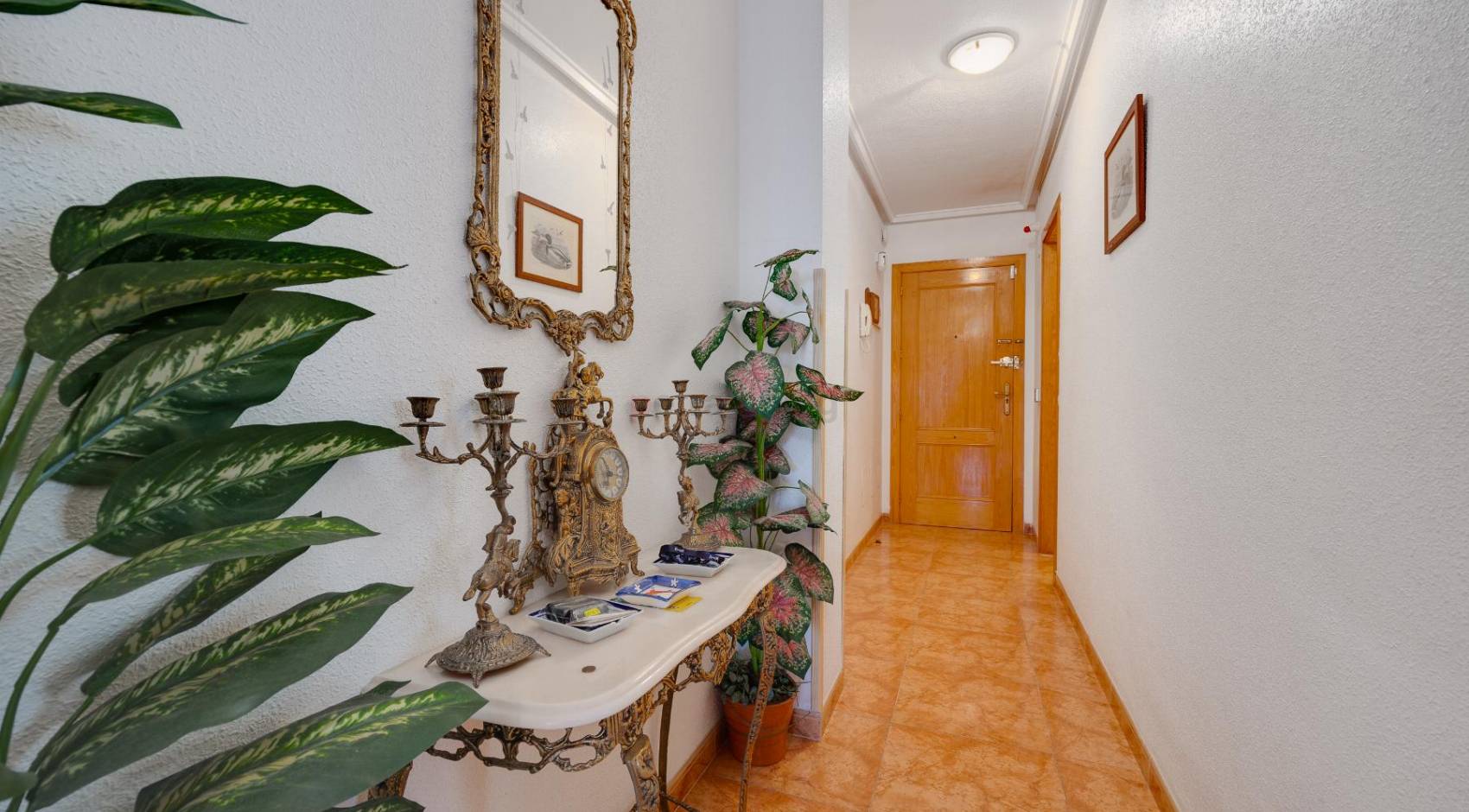 Gebrauchtobjekte - Apartment - Torrevieja - Centro