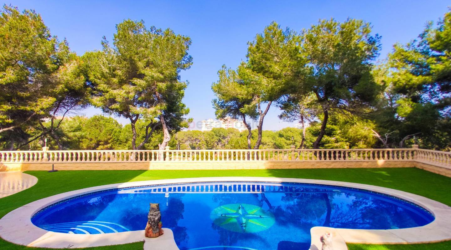 A Vendre - Villa - Campoamor - Dehesa De Campoamor