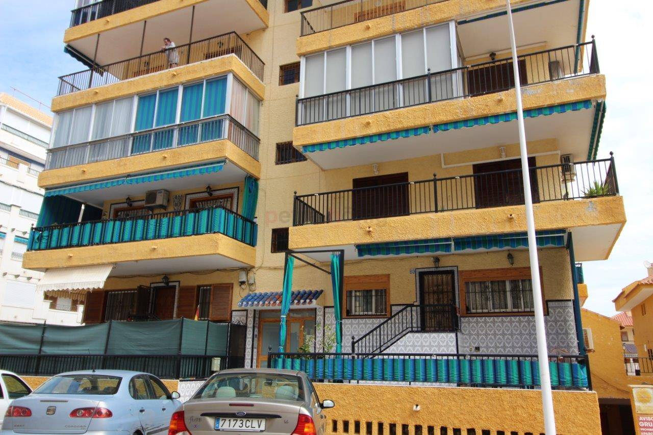 Gebrauchtobjekte - Apartment - La Mata - Viñamar I