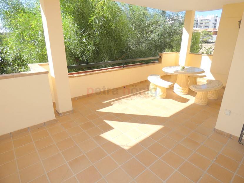 Gebrauchtobjekte - Apartment - Campoamor