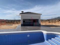 New build - Villa - Pinoso - Camino Del Prado