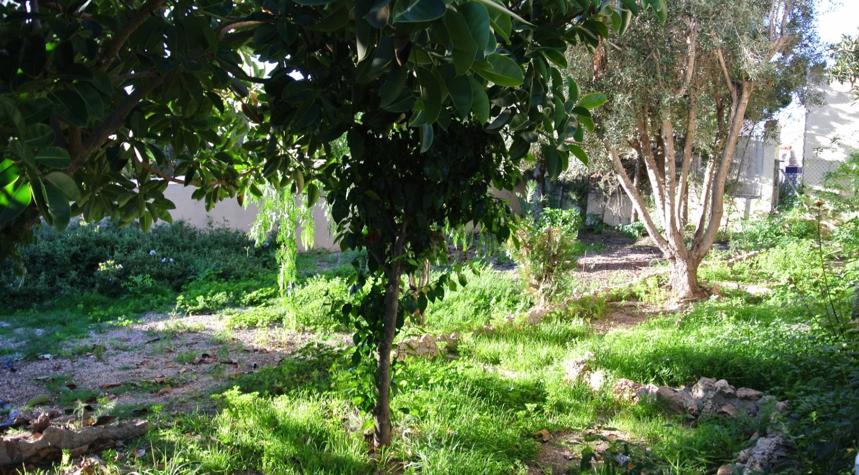 A Vendre - Bungalow - Ciudad Quesada