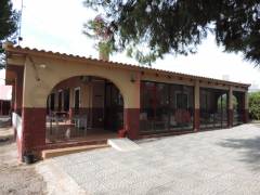 Sale - Finca - Crevillente