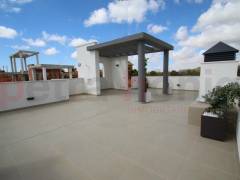 New build - Bungalow - San Miguel de Salinas