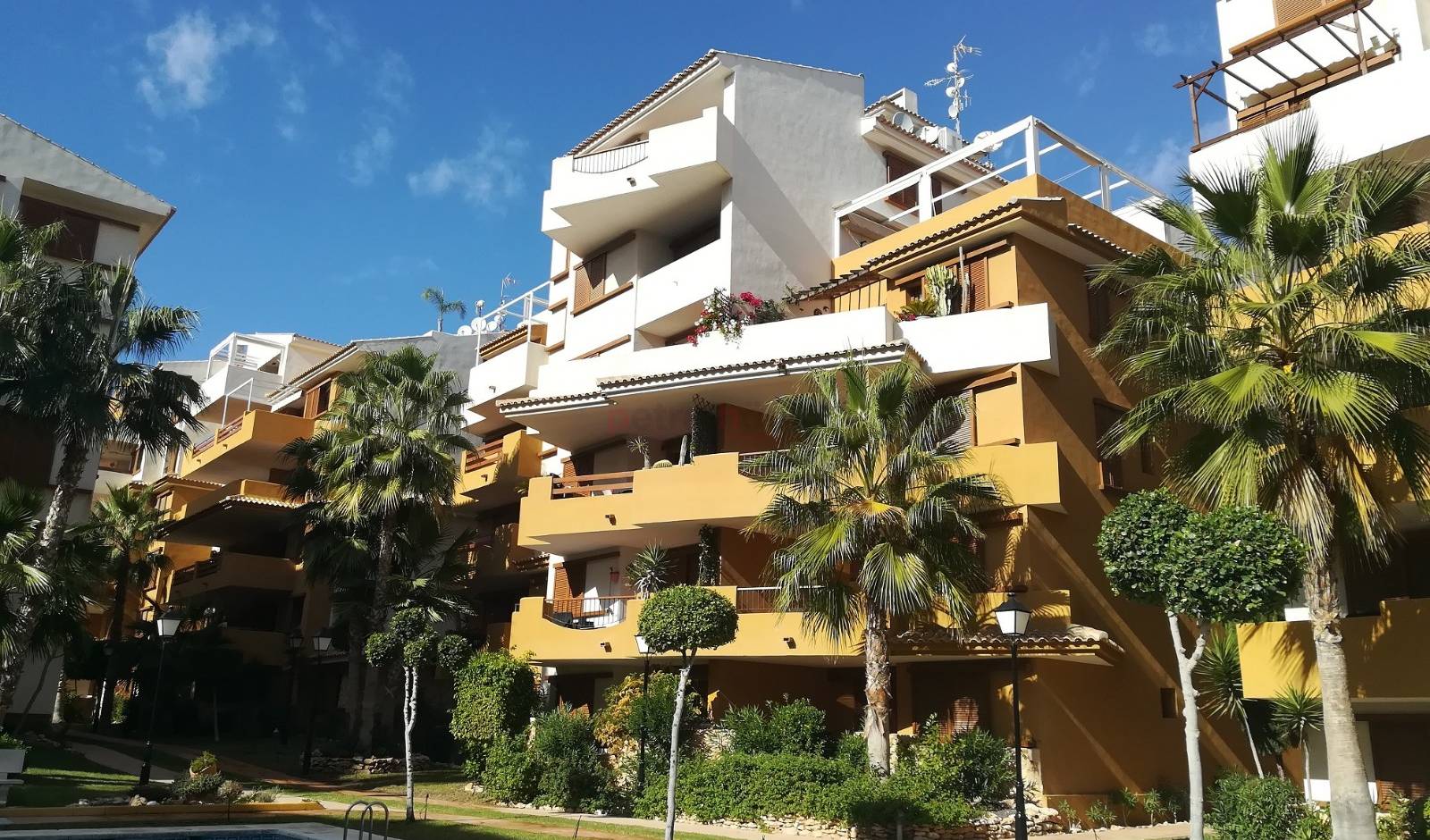 Nouvelle Construction - Appartement - Punta Prima