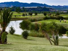 новый -  квартира - Vista Bella Golf - Entre Naranjos