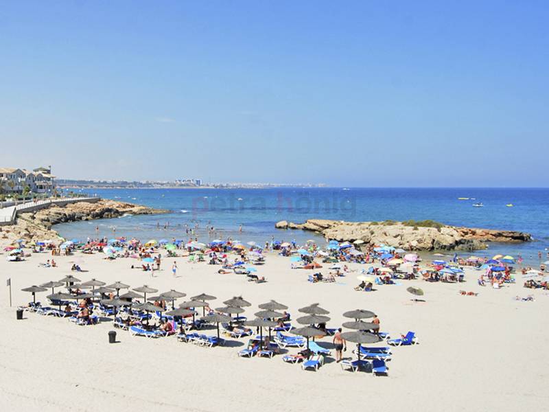 Nybygg - Leilighet - Playa Flamenca