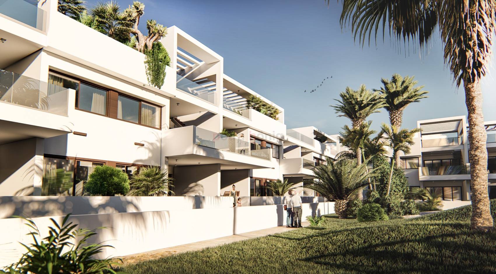 Obra Nueva - Bungalow - Torrevieja - Los Balcones