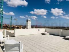 Nouvelle Construction - Villa - San Miguel de Salinas