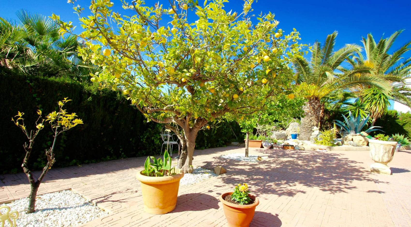 Gebrauchtobjekte - Einfamilienhaus - Cabo Roig