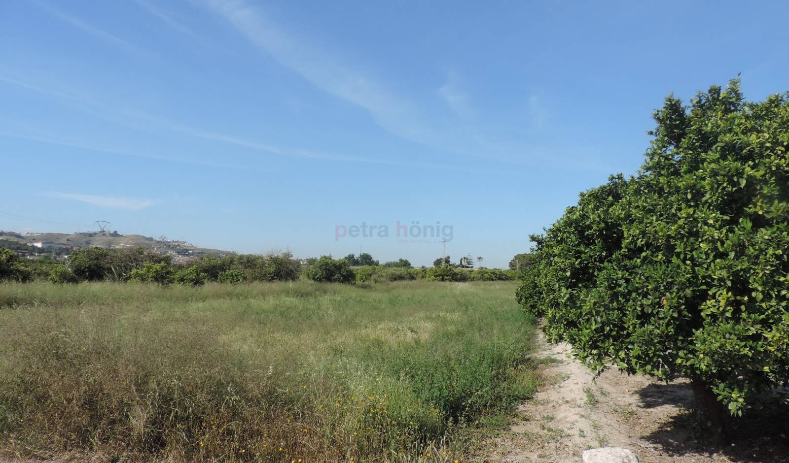 Gebrauchtobjekte - Finca - Ciudad Quesada