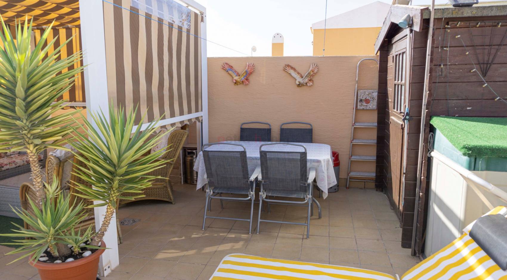 Resales - Bungalow - Ciudad Quesada - Lo Marabu