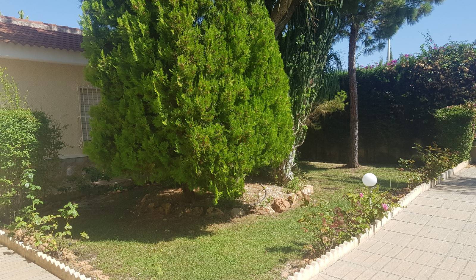 A Vendre - Villa - Ciudad Quesada - Dona Pepa