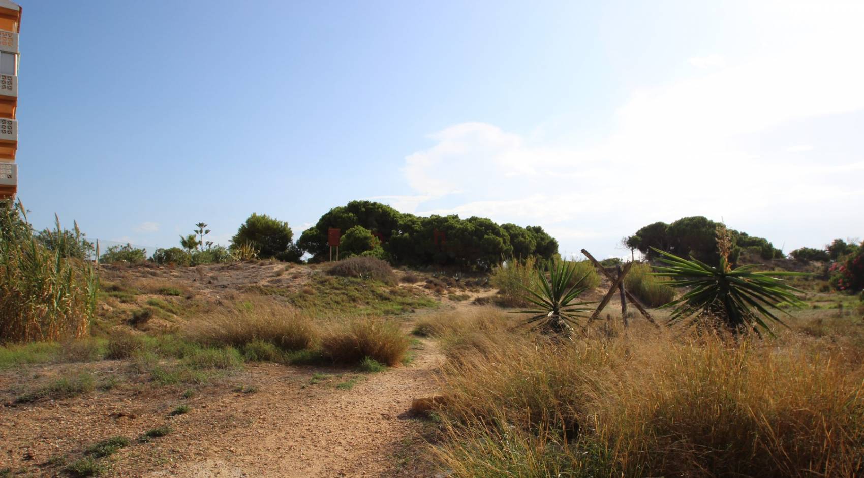 Gebrauchtobjekte - Apartment - La Mata