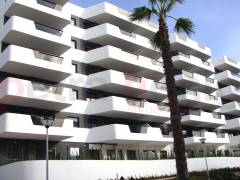 Obra Nueva - Apartamento - Gran Alacant - Arenales del Sol