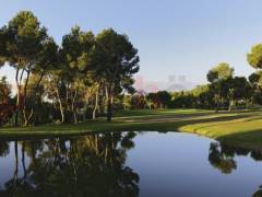 nieuw - Appartement - Playa Flamenca