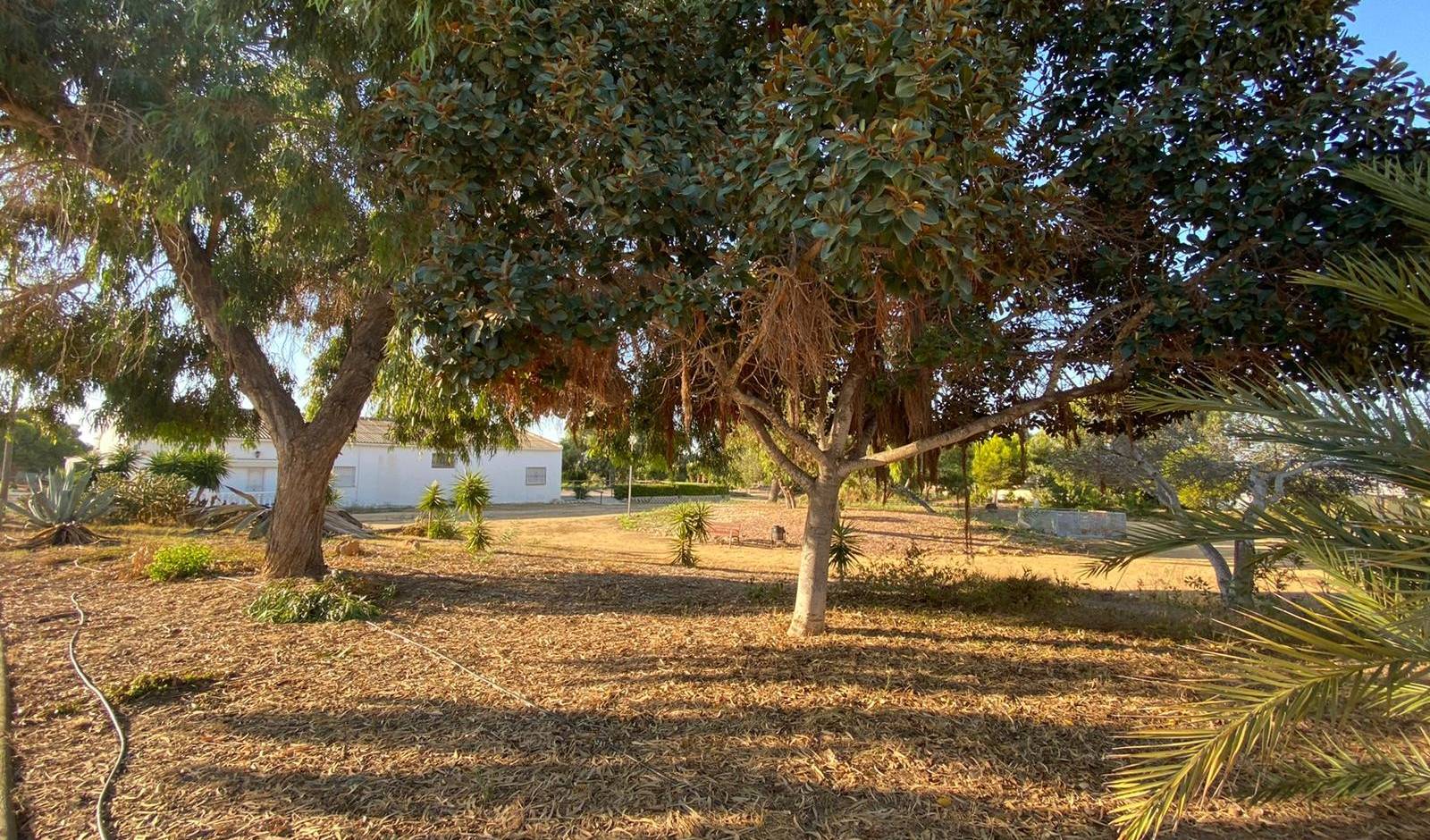 A Vendre - Maison de ville - Torrevieja - La Siesta