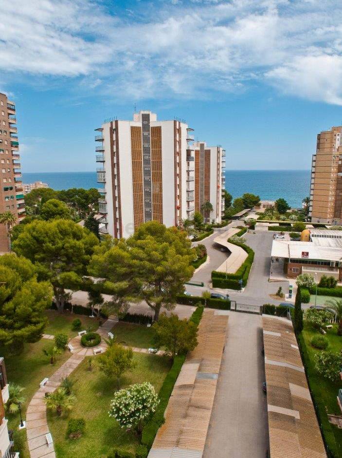 Sale -  квартира - Campoamor - Orihuela Costa