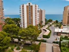 Resales - lejlighed - Campoamor - Orihuela Costa