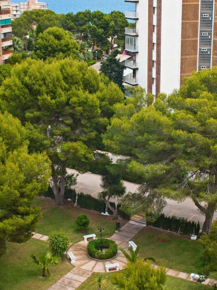 Gebrauchtobjekte - Apartment - Campoamor - Orihuela Costa