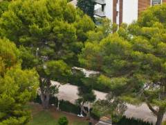 Gebrauchtobjekte - Apartment - Campoamor - Orihuela Costa