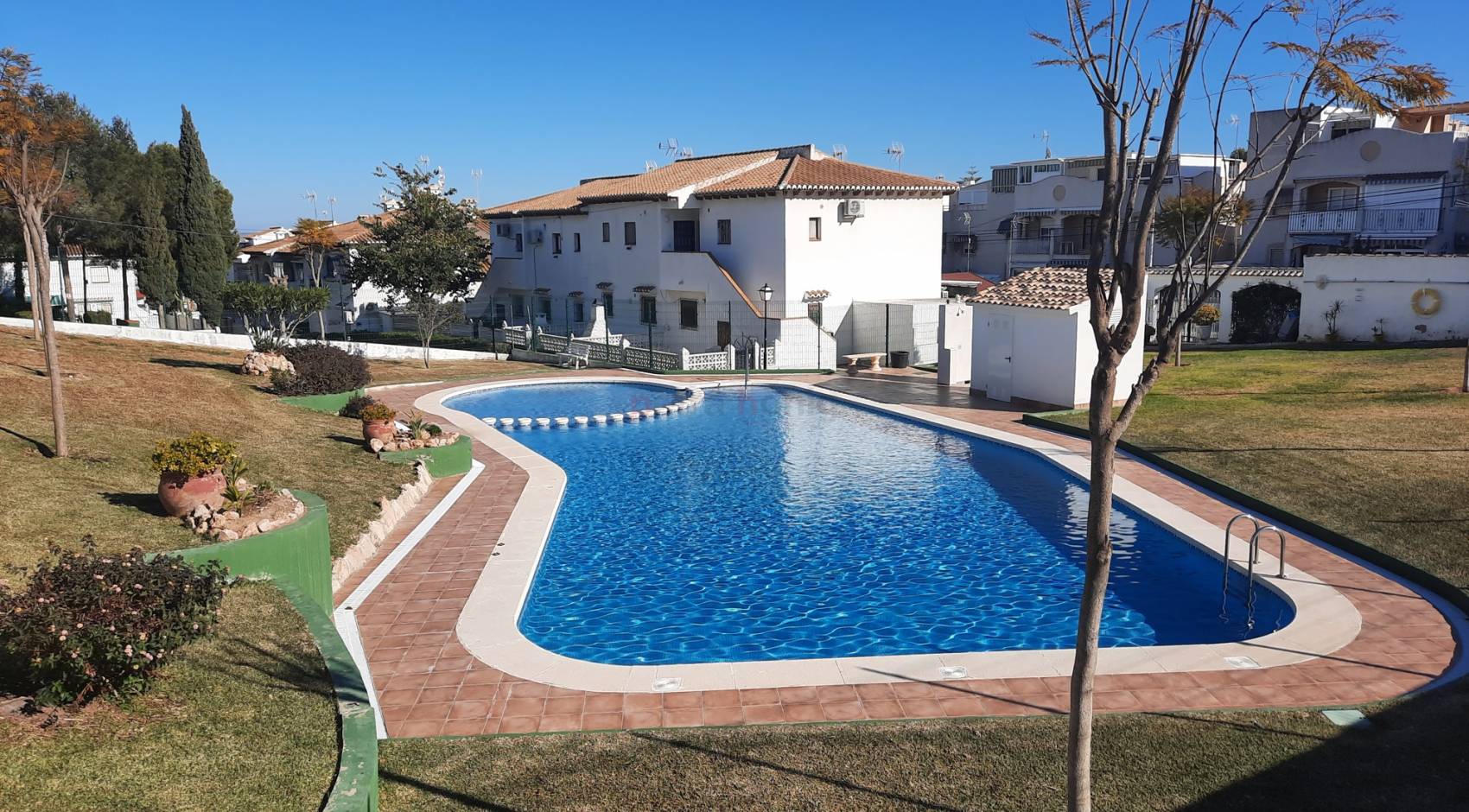 Resales - Bungalow - Torrevieja - Los Altos