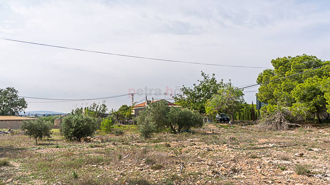 Til Salgs - Finca - Guardamar del Segura