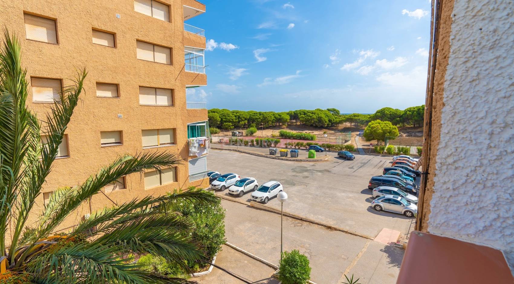 Reventa - Apartamento - Guardamar del Segura - Pinomar