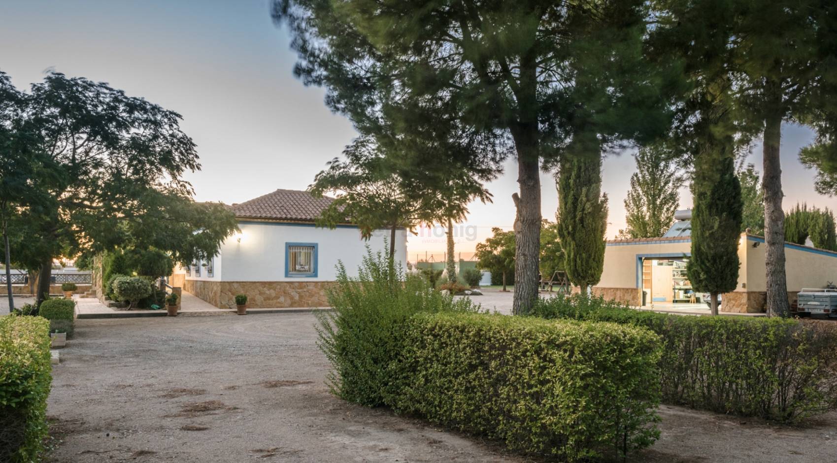 Sale - Finca - Other areas - Jumilla