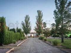 Sale - Finca - Other areas - Jumilla