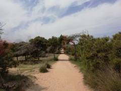 Gebrauchtobjekte - Bungalow - Guardamar del Segura - Pinomar