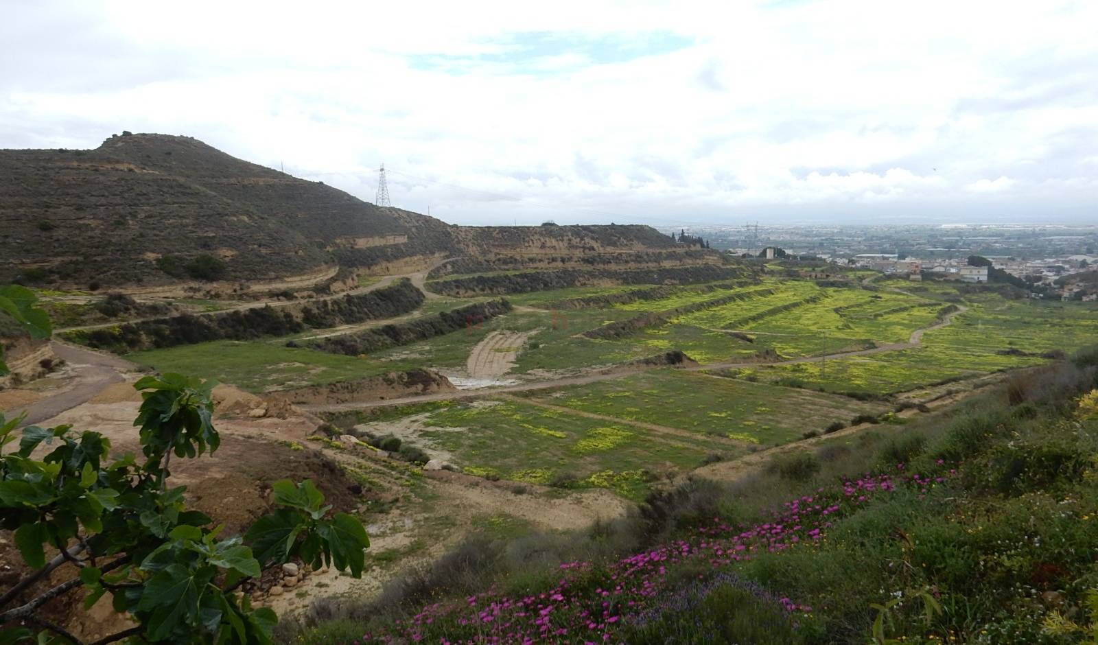 Til Salgs - Villa - Ciudad Quesada - La Marquesa Golf