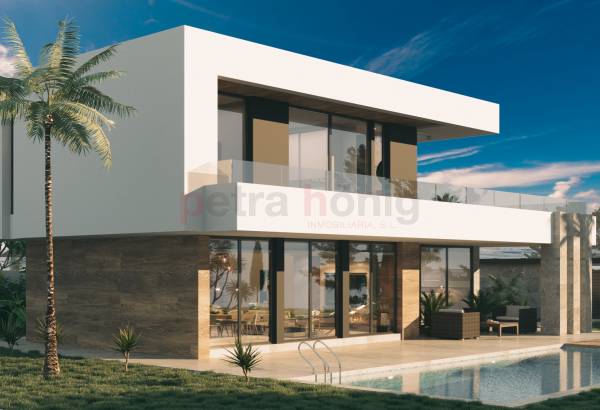 Einfamilienhaus - Neubau-Projekte - Ciudad Quesada - Ciudad Quesada