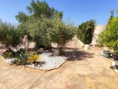 Sale - Finca - Crevillente