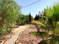 Sale - Finca - Crevillente