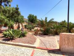 Sale - Finca - Crevillente